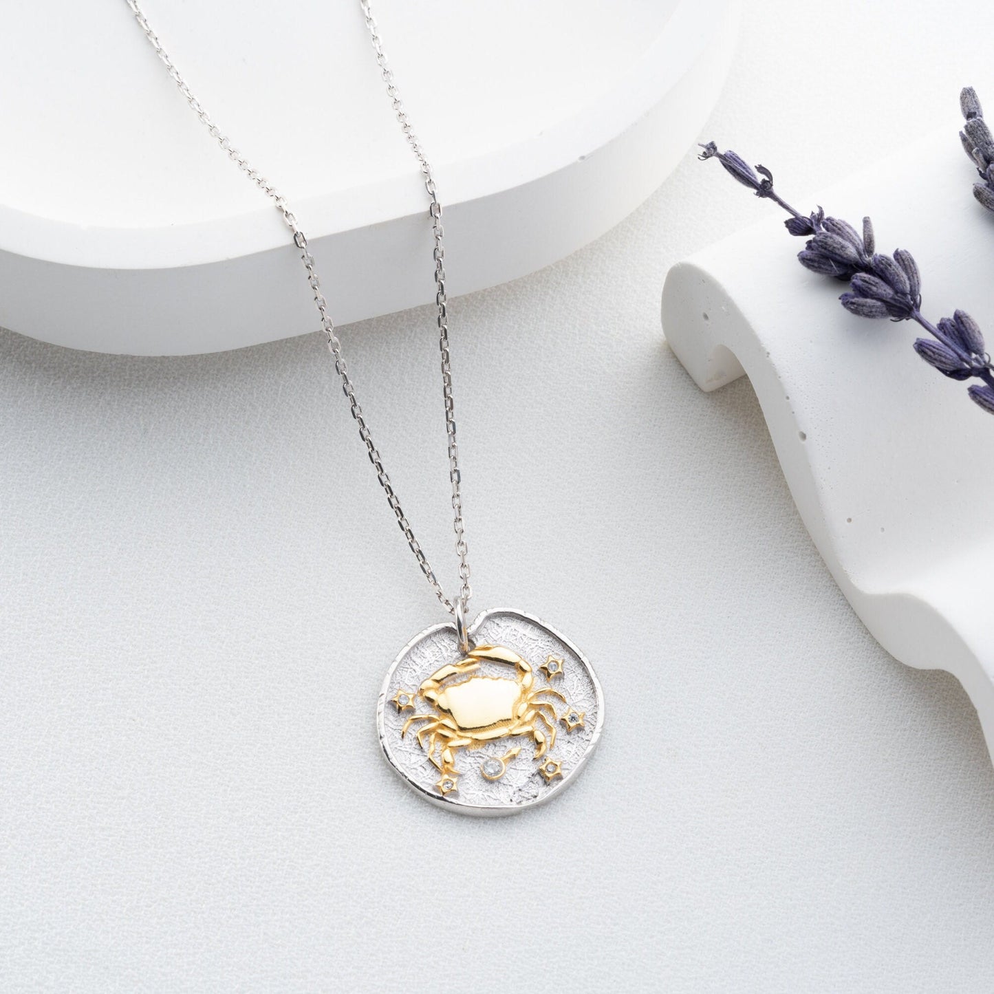 Cancer Zodiac Necklace • 925 Sterling Silver & Gold Plated • Coin Medallion Pendant • Celestial Astrology Jewelry • Gift for Her