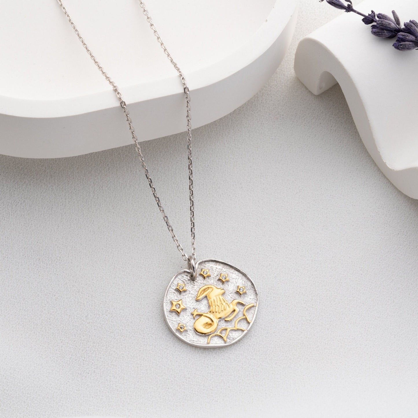 Capricorn Zodiac Necklace • 925 Sterling Silver & Gold Plated • Coin Medallion Pendant • Astrology Celestial Jewelry • Gift for Her