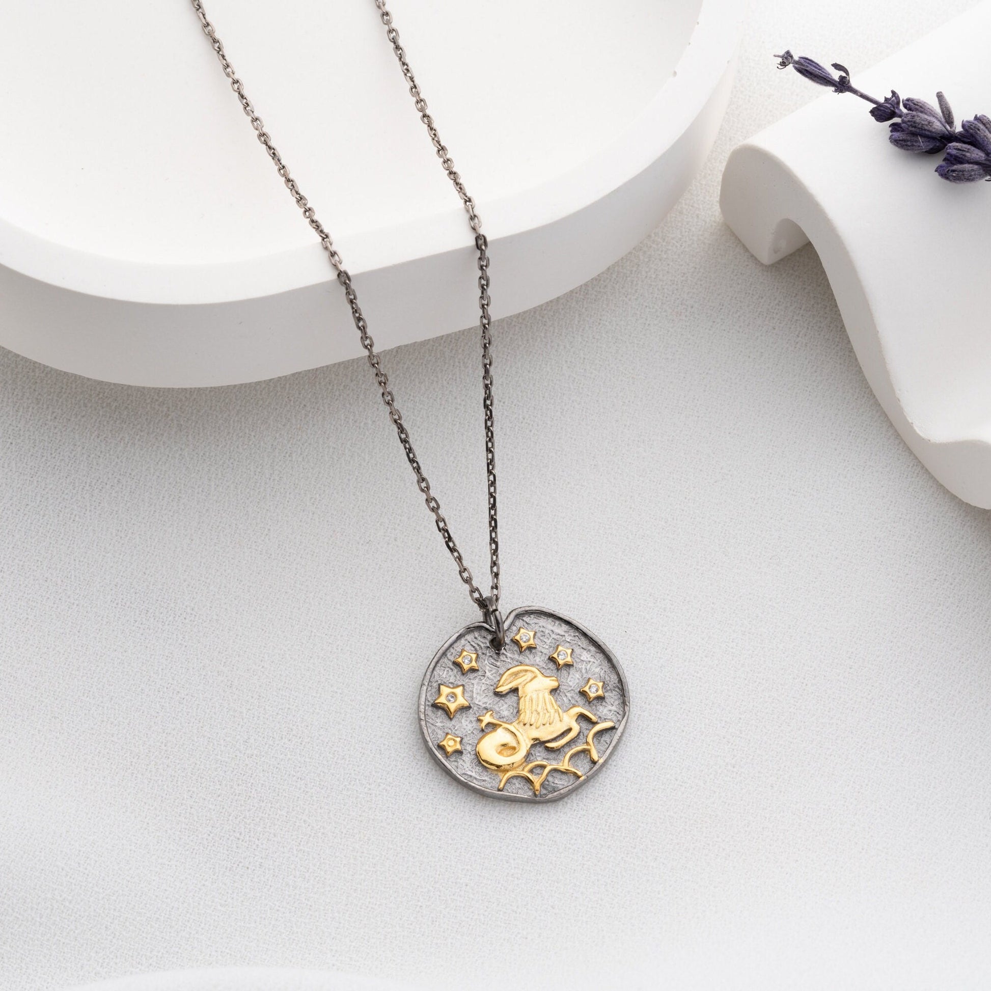 Capricorn Zodiac Necklace • 925 Sterling Silver & Gold Plated • Coin Medallion Pendant • Astrology Celestial Jewelry • Gift for Her