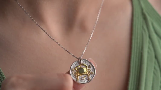 Cancer Zodiac Necklace • 925 Sterling Silver & Gold Plated • Coin Medallion Pendant • Celestial Astrology Jewelry • Gift for Her